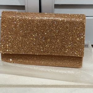 Aldo Evening Bag/Clutch